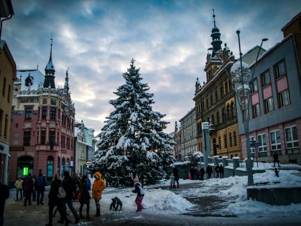 Jak Strakonice řeší problémy s potkany?