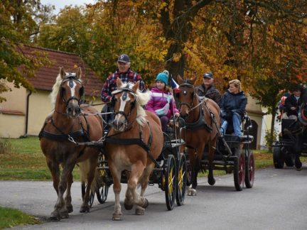 Zemřel Karel Dvořák ze Zálší, legenda vozatajského sportu