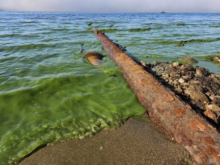 Biologové zmapovali odpadní výpusti na Lipně