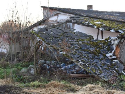 Majitelka kravína ve Vepicích se dvacet let nachází v bludném kruhu