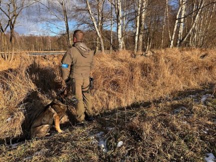 Vrah, který usekl hlavu své partnerce, je v nemocnici. Motiv hrůzného činu stále není jasný