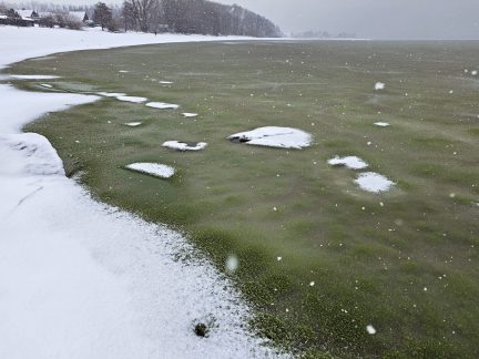 Zelený led na Lipně: Sinice překvapily uprostřed zimy