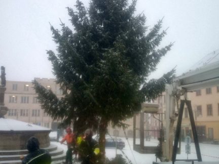 VIDEO: Vánoční strom na Žižkově náměstí v Táboře šel k zemi