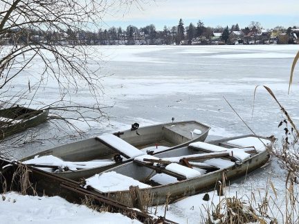 Ozdravení rybníku Vajgar nabírá nový směr. Mohli bychom inspirovat celou republiku, míní přírodovědec