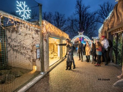 Nasvícená Zoo Hluboká bodovala. Opět aspiruje na nejnavštěvovanější turistický cíl v Jihočeském kraji