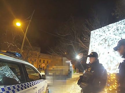 Opilý mladík v Budějovicích prorazil hlavou dveře perníkové chaloupky