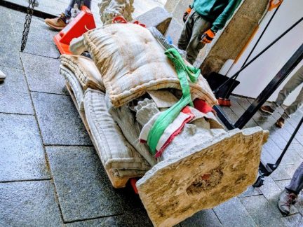 Samson zdobil výstavu, teď se vrátil domů do Českých Budějovic