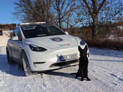 Policejní štěně Lizard se připravuje na službu u táborské městské policie