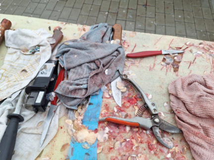 Při kontrole prodejců kaprů v Budějovicích odhalila inspekce porušení různých předpisů