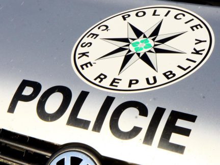 Žena ze Strakonicka brutálně týrala kočku. Hrozí jí až šest let vězení