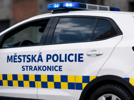 Strážníci ve Strakonicích zadrželi mladého sprejera přímo při činu