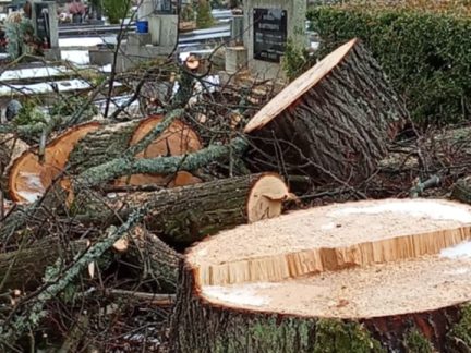 Na hřbitově jsme zůstali v šoku, říká majitelka hrobu