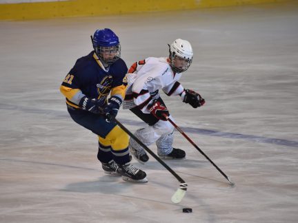 Tříbrankový náskok stačil. Mladší žáci HC Strakonice zvládli duel se Střelci