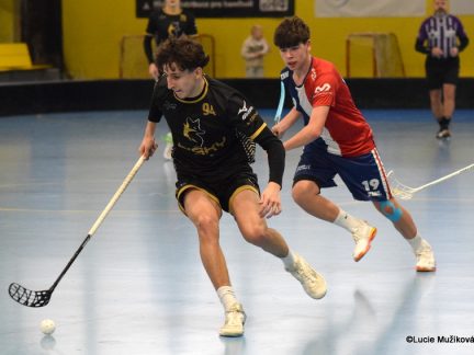 Dorost Lišek těsně porazil Turnov, na Kladno byl krátký