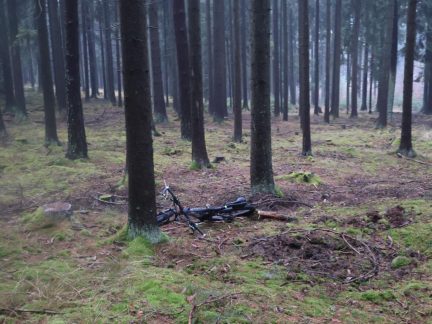 Cyklista na Budějovicku zemřel po nárazu do stromu