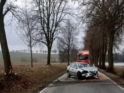 Přibývá střetů s lesní zvěří. Dvě středeční nehody si vyžádaly zranění