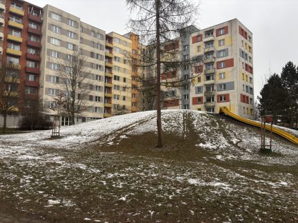 Stromy u sáňkovacích kopců na táborském sídlišti rodiče nenadchly