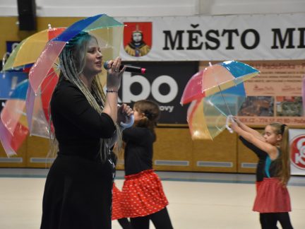 Sokolská akademie v Milevsku – nevídaná show, na kterou je vždycky vyprodáno