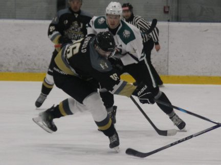 Hokej: V krajském čtvrtfinále mezi Hlubokou a Krumlovem je to po neděli nerozhodně