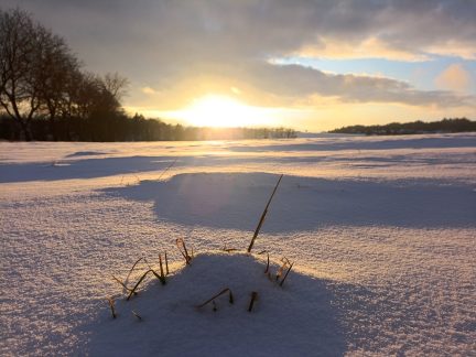 Nové titulní foto pro Facebook Milevských novin je od fotografa Petra Lívance