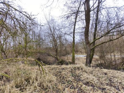 Začala revitalizace Staré řeky ve Strakonicích. Přinese návrat vody, přírody i života do krajiny