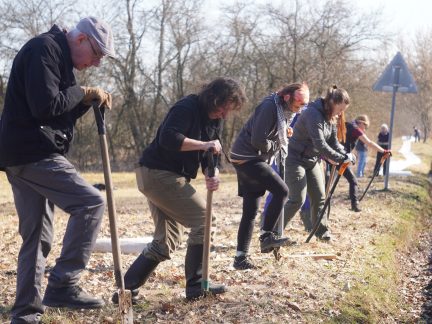 Blíží se jarní tah žab. Dobrovolníci staví na Strakonicku zábrany u silnic