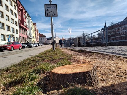 Zásah v památkové rezervaci. Památkáři se vyjádřili k úpravám budějovického nábřeží i kácení stromů