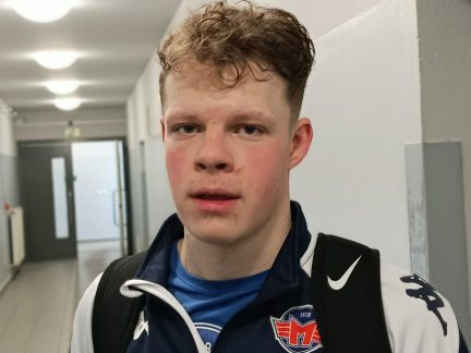 Hokej: Budějovický Lvíček už si brousí drápy na play off. Zkusil si áčko i dvacítky