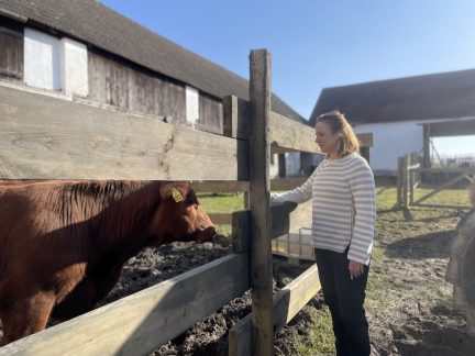 Jihočeši jsou tak trochu komedianti, říká režisér Bohdan Sláma. Na jihu natáčí Dešťovou hůl