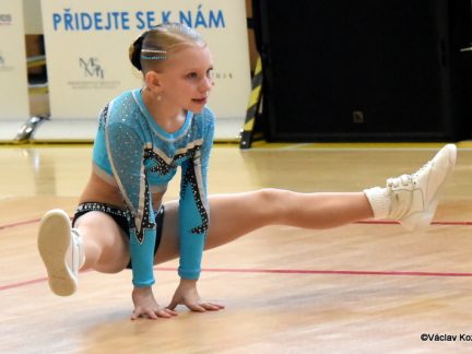 VIDEO: Píseckou sportovní halu zaplnil republikový aerobik