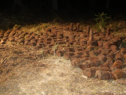 Pyrotechnici vykopali v lese u Albrechtic na Písecku přes 300 granátů