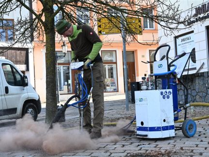 Vitalitu jasanů u Kamenného mostu v Písku podpoří aplikace živin do půdy