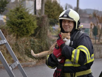 Kocour ve Vimperku uvázl na stromě. Na zem mu pomohli hasiči