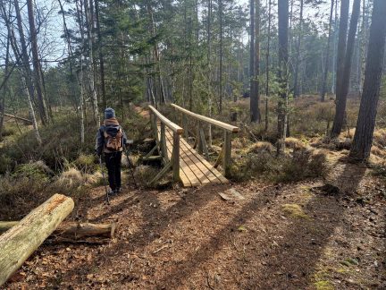 VÝLETY: Tajemná krajina a ticho rašeliniště na Červeném blatě