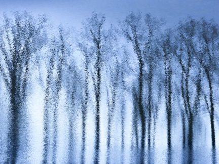 Snímky měsíce na Facebook Jindřichohradecka přišly ze Suchdola nad Lužnicí