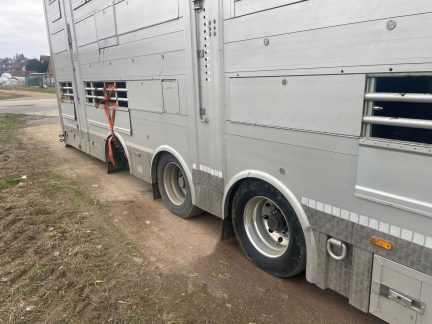 Cizinec převážel skot napříč Evropou s poškozeným přívěsem, kterému chybělo kolo