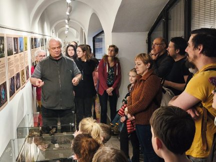 Komentovaná prohlídka v píseckém muzeu představila ptačí stavitele