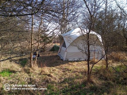 Nepořádek, výkaly, pobíhající psi. Bezdomovci kempovali v Měšicích