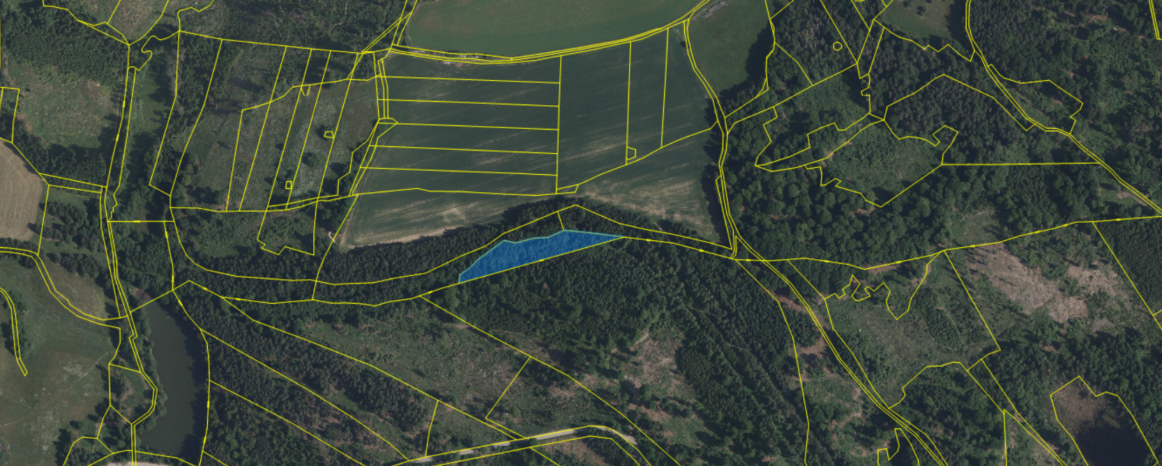 Lesní pozemek Brandlín (Volfířov)-5