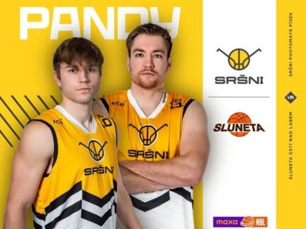 Písečtí Sršni ve středu zahajují čtyřzápasovou domácí sérii