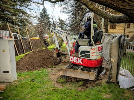 Ze Senovážného náměstí v Budějovicích zmizí kvůli stavebním úpravám magnolie