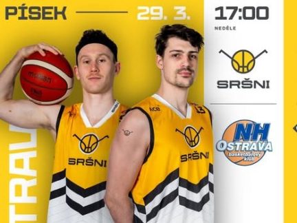 POZVÁNKA: I přes nepřízeň osudu Sršni nic nevdávají! V neděli vletí na Ostravu!