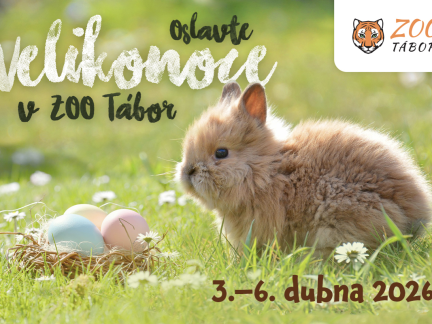 V táborské zoo si budou moci návštěvníci uplést pomlázku nebo hledat velikonoční vejce