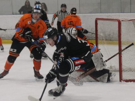 Hokej: Obhájci stříbra vykročí za trofejí. Budějovičtí Black Dogs hostí Brno