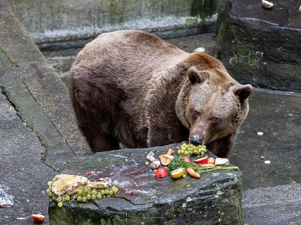 Velikonoční Krumlov zve na jarmark, bohatý program i Medvědí vítání jara