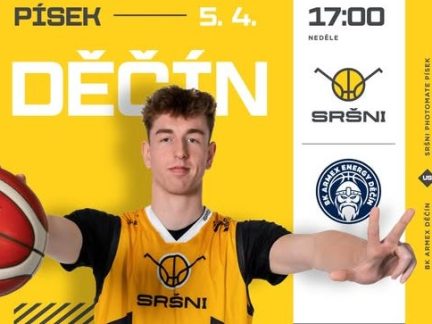 V neděli Sršni naposled ve sportovní hale, pak se stěhují na zimák