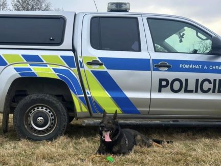 Seniorka vyrazila na kopřivy do velikonoční nádivky. Domů se nevrátila