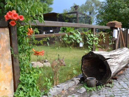 Část historického areálu bývalých jatek v Třeboni se promění v návštěvnické středisko zaměřené na ochranu přírody