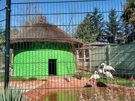 Africká vesnička Wanawake roste. Zoo Dvorec chce návštěvníky přenést do exotiky