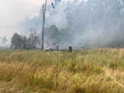 Kvůli suchu hrozí požáry, porost Lesů města Písku jeden zasáhl o víkendu